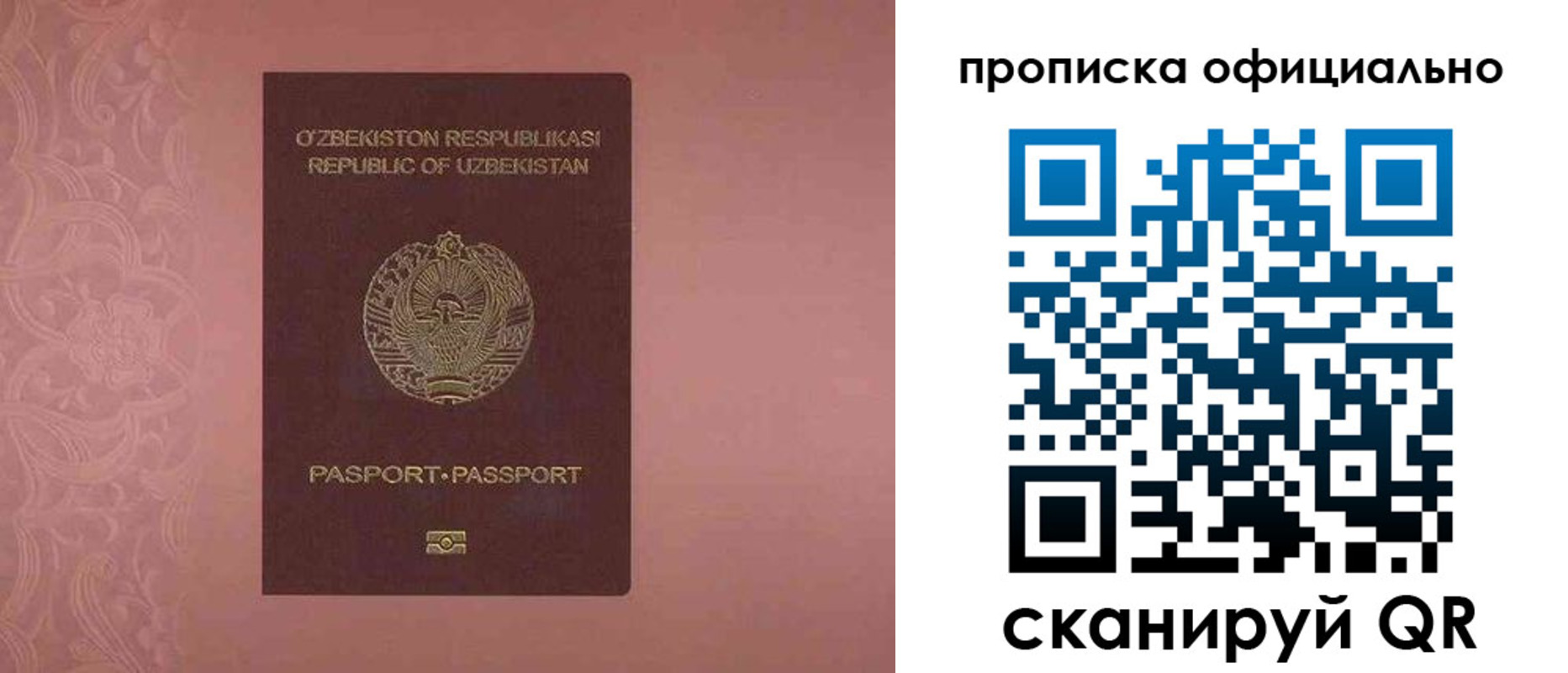 прописка гарантия в Лосино-Петровском